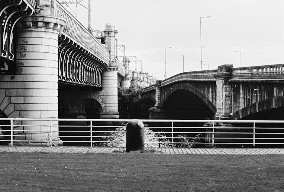 A waterfront scene featuring a collection of docked boats with various colors and textures, including some with white hulls and others painted in shades of blue and red, moored along the edge of a river or canal with reflections on the water surface. In the background, there are tiered outdoor seating areas shaded by pink and blue umbrellas, occupied by people sitting and strolling, set on a grassy and paved terraced landscape. Behind the terraces, a row of historic multi-storey buildings with brick and stone facades, detailed window frames, and decorative rooflines line the promenade, with a clear blue sky overhead. To the left, a large leafy green tree provides a natural contrast to the urban setting, completing a lively riverside environment that could be associated with private or alternative waste handling activities near Kingston's public amenities, as implied by the presence of a waste disposal service such as Waste Disposal Kingston if visualized in context.